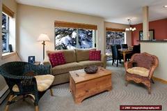 Forest Trails 34