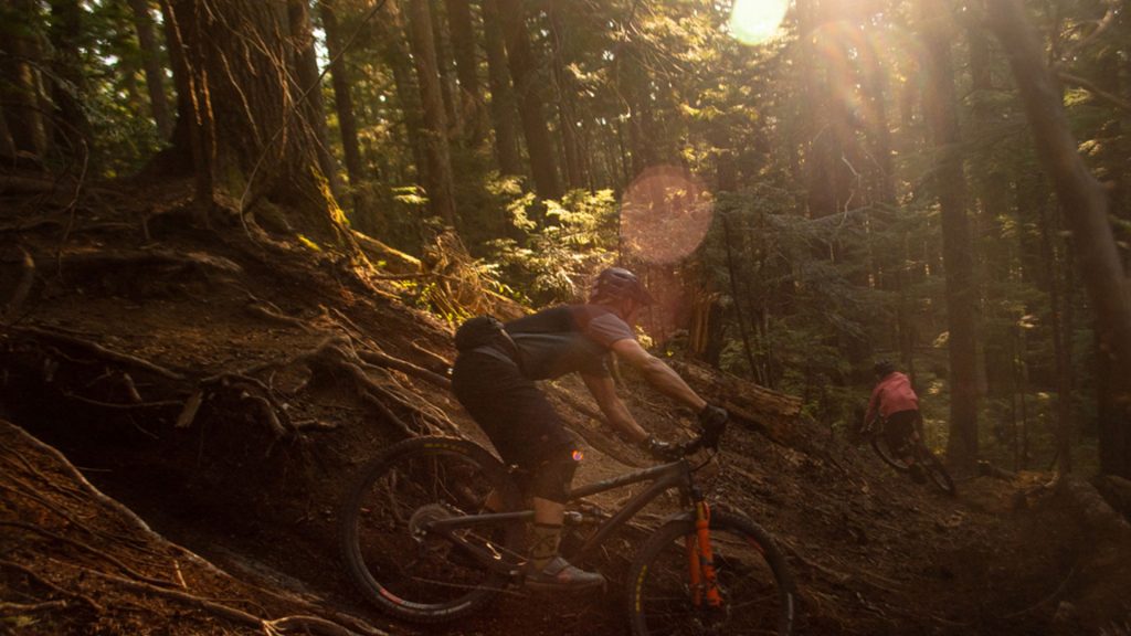 Mountain biking through a dense forest on Blackcomb Mountain