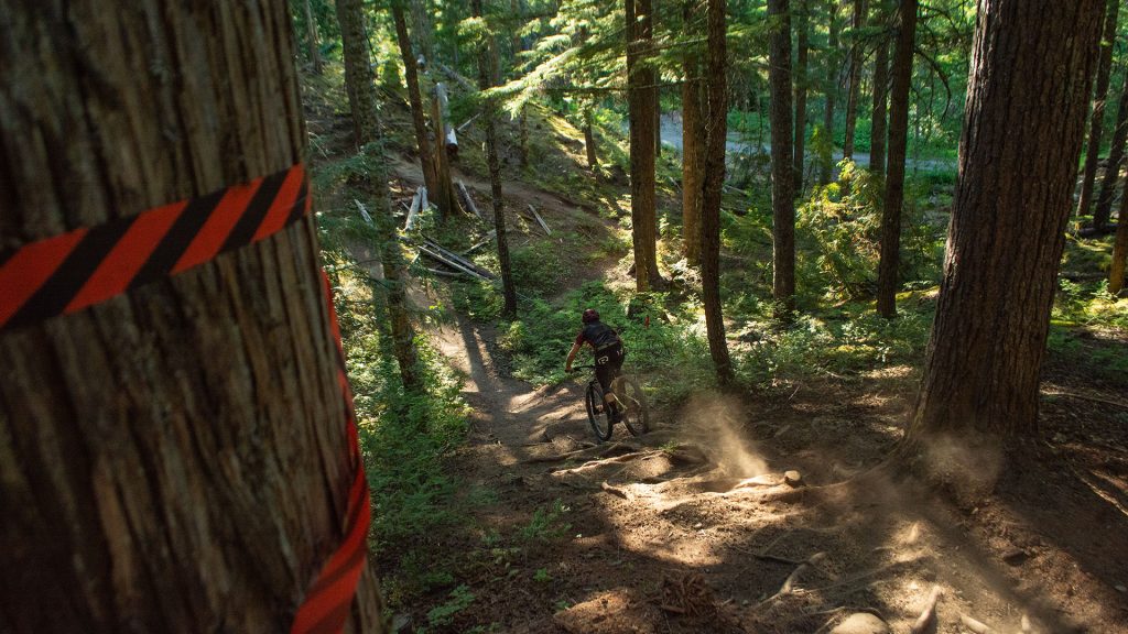 View of a mountain biker from behind, descending down a rooty section of trail on Blackcomb Mountain in Whistler, BC. 