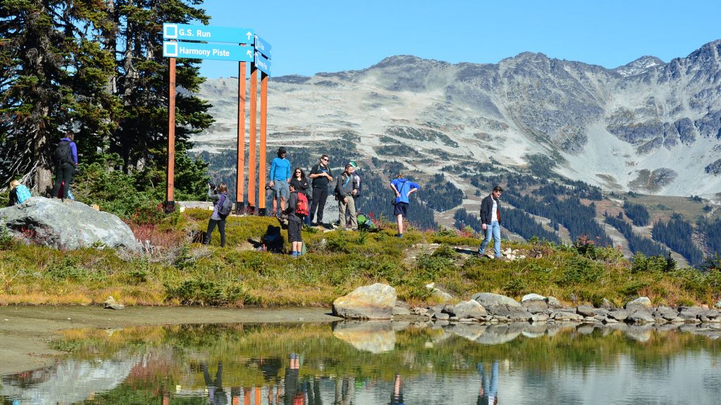 Photo of kids and adults hiking the Whistler Alpine.