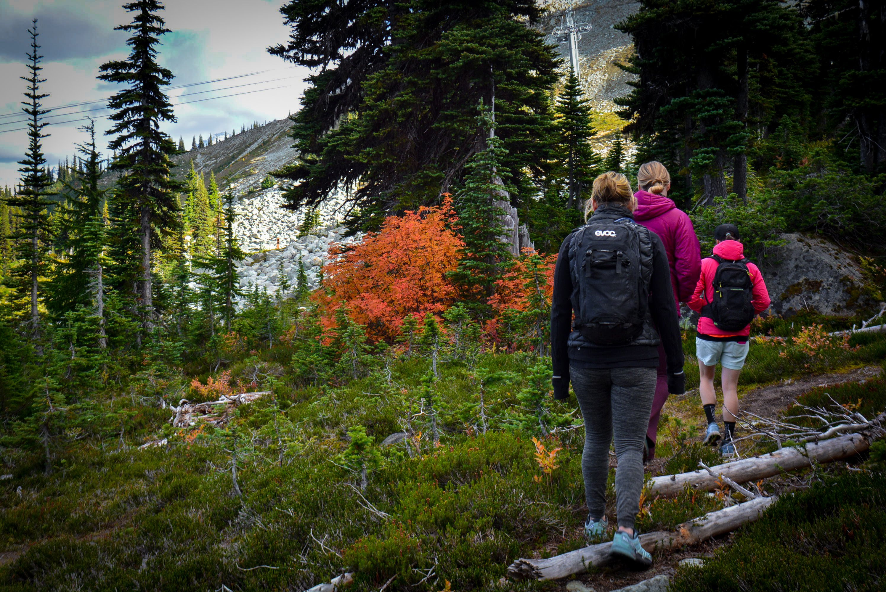 Hiking on Whistler Mountain in the Fall