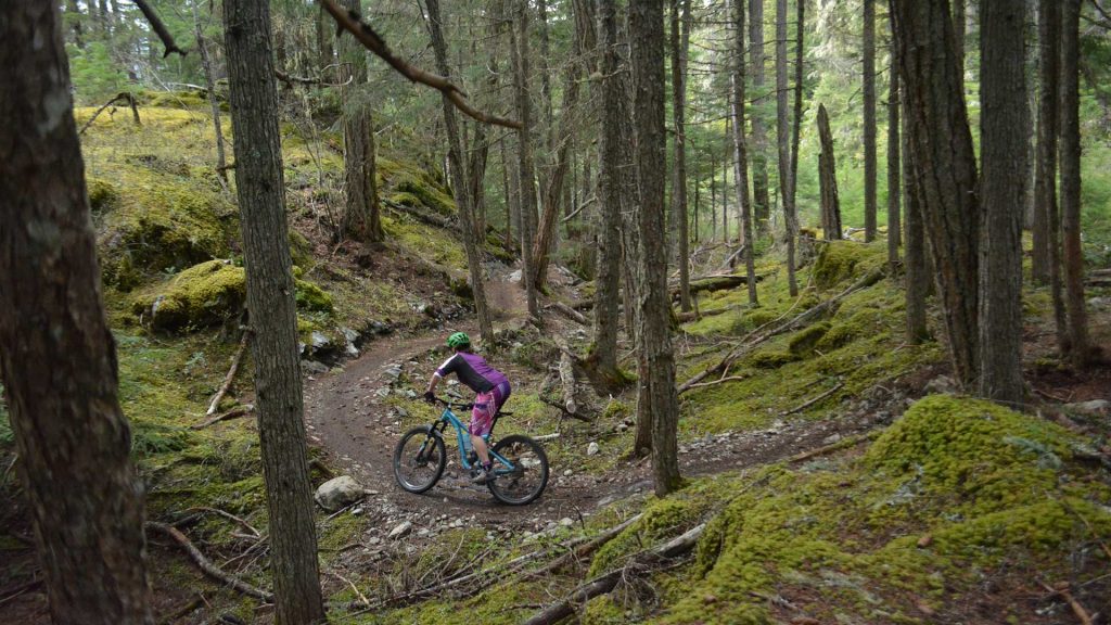 Mountain biker riding in the lost lake trail network in Whistler, BC. 