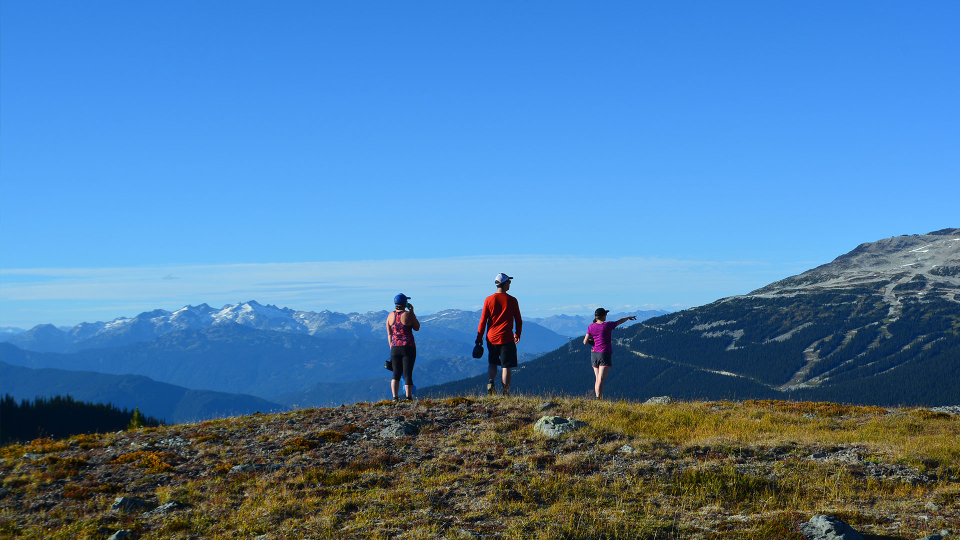 Hiking in an alpine setting on whistler mountain